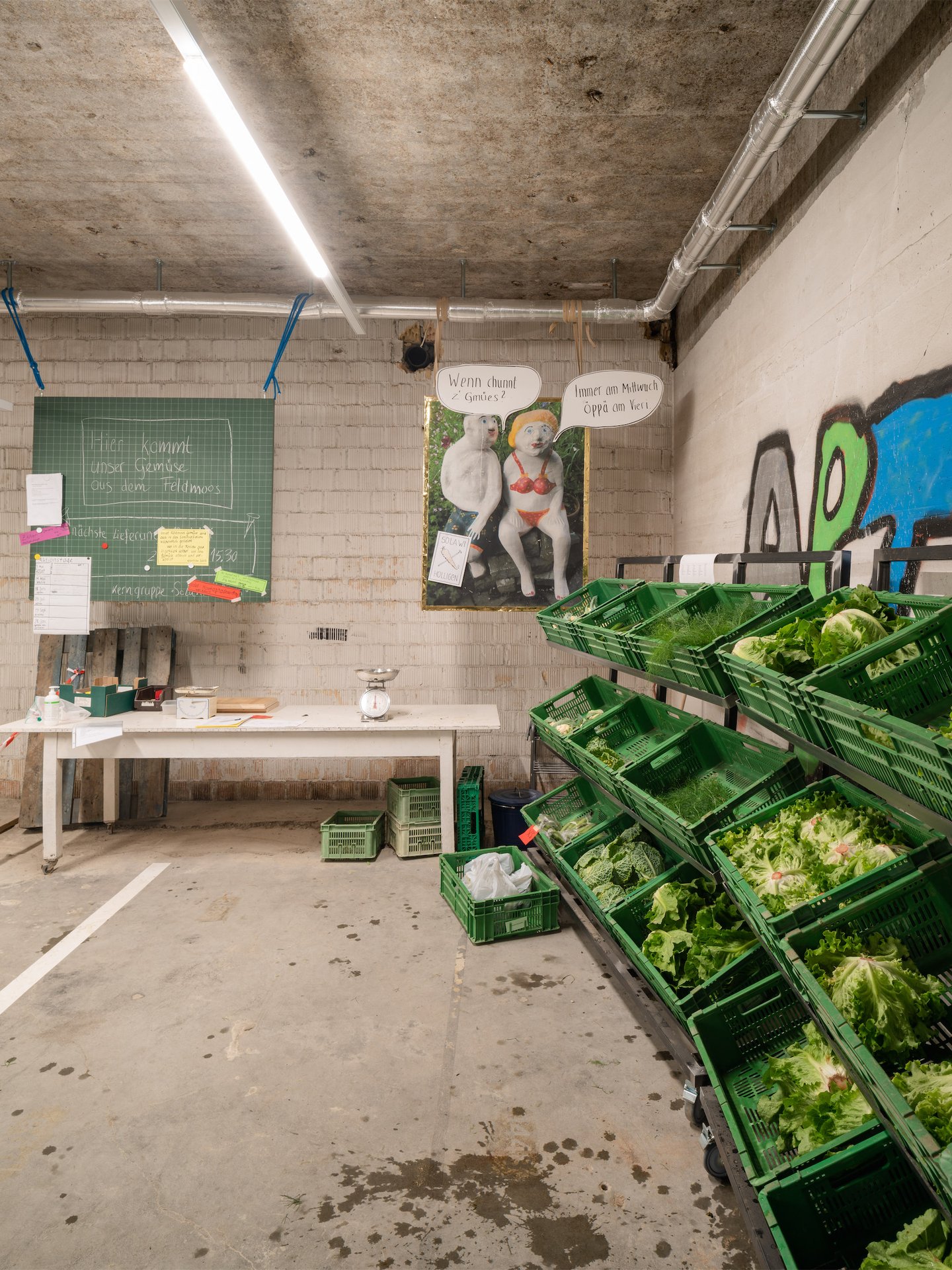 SoLaWi Gemüselieferung, Holligerhof 8